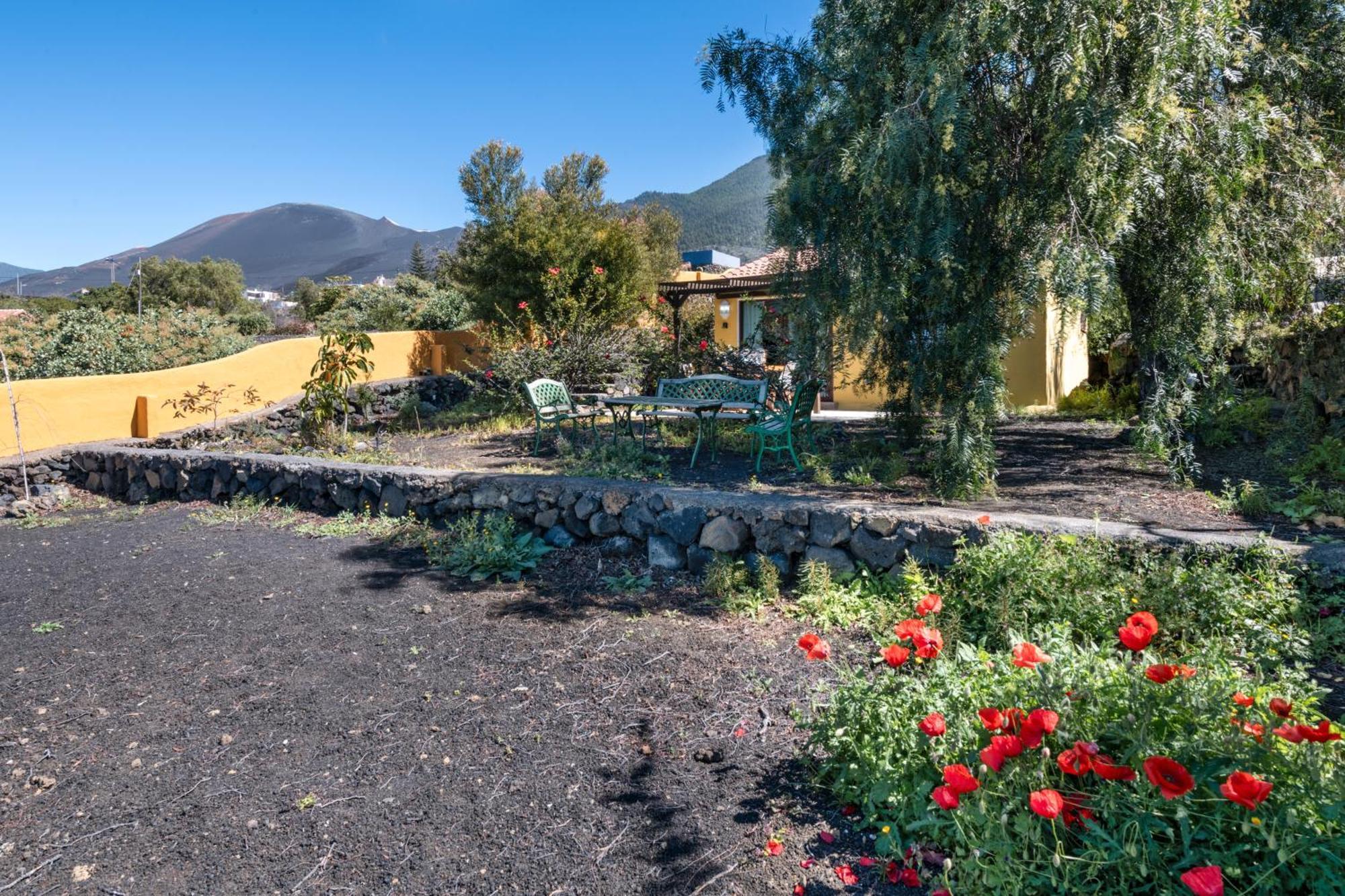 El Jardin De Las Pleyades Los Llanos De Aridane Extérieur photo